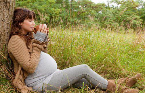 Môžu tehotné ženy piť alkohol, kávu, mlieko?