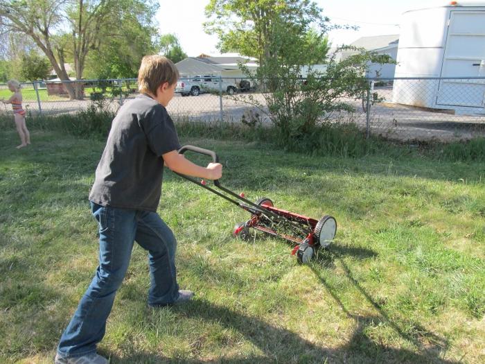 Sekačky na trávu benzínová ruka - Vaši asistenti pri vytváraní umelého diela nazývaného "Lawn".