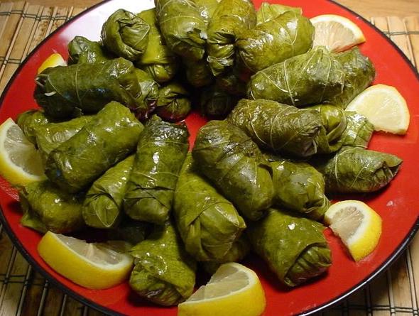 dolma z hroznových listov recept