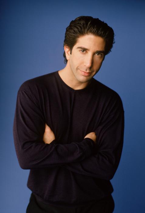 David Schwimmer rast