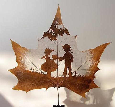 Maple Leaf Photo