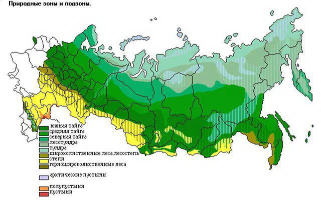 Geografické umiestnenie stepí: hlavné charakteristiky