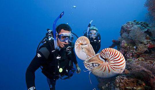 Krajiny Oceánie a Austrálie