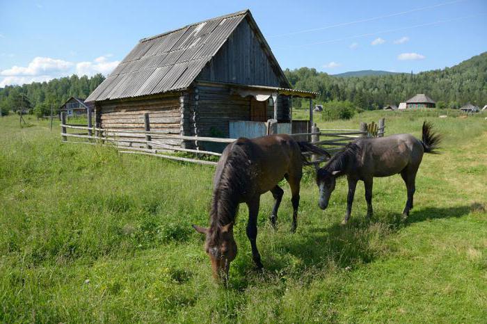 Národný park Shorsky (okres Tashtagol, región Kemerovo): popis, turistické trasy