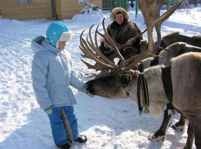 Jeseňová farma v Antsiferovo: popis, história stvorenia. Ako sa dostať na farmu?