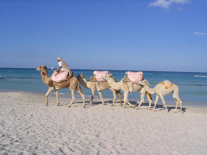 Mám ísť do Tuniska v septembri? Rekreácia, ceny, počasie a recenzie cestovateľov