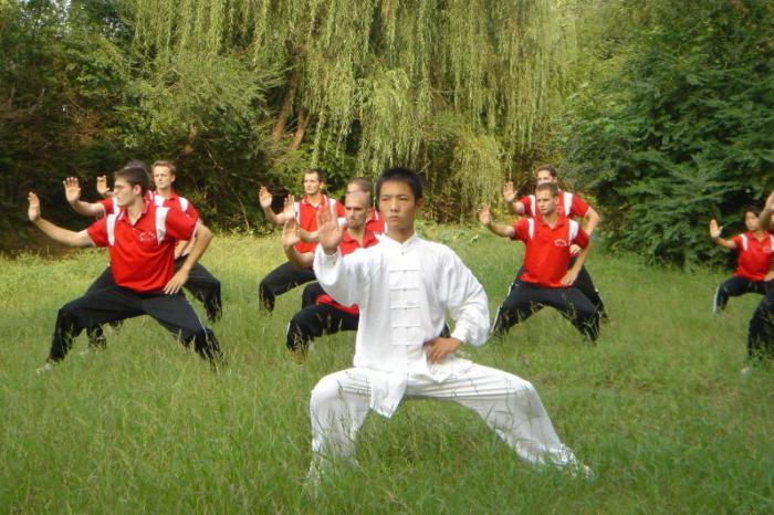 Čínska gymnastika Tai Chi. Staroveká čínska liečebná gymnastika. Popis cvičení