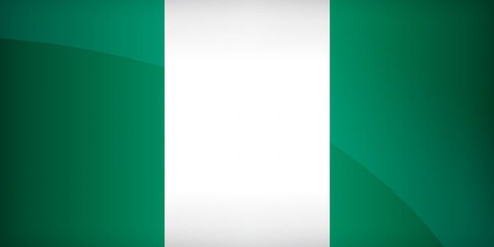 Vlajka Nigérie: druh, význam, história