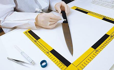 Posmrtné forenzné vyšetrenie: správanie a výsledky