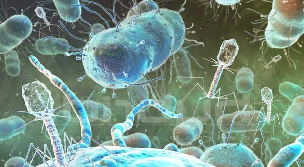 Bakteriofágy sú ... alebo pár slov o virológii