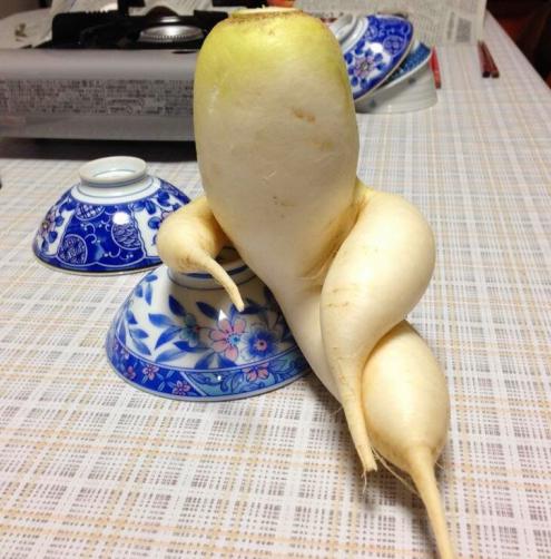 Daikon: prínosy a poškodenie zdravia